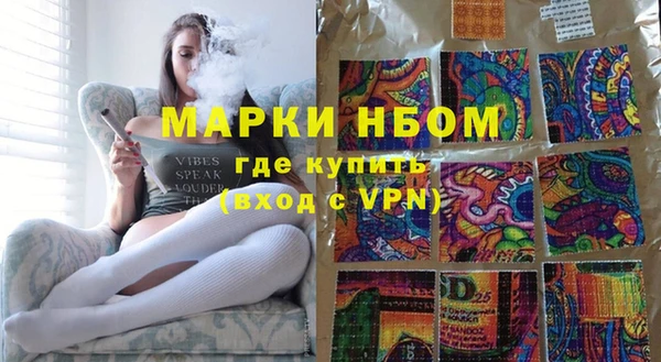 гидра Богородицк