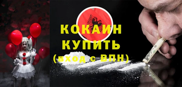 гидра Богородицк
