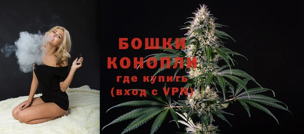 гидра Богородицк