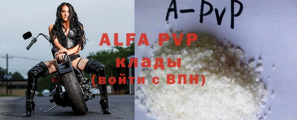 гидра Богородицк