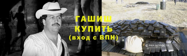 гидра Богородицк