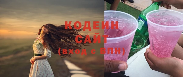 гидра Богородицк