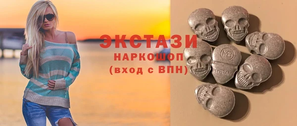 гидра Богородицк