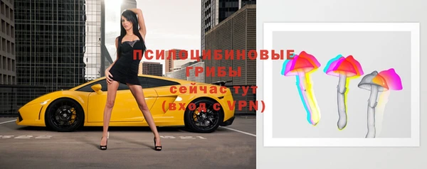 ECSTASY Богородск