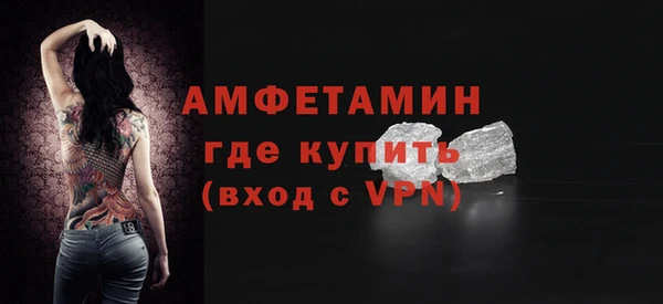 гидра Богородицк