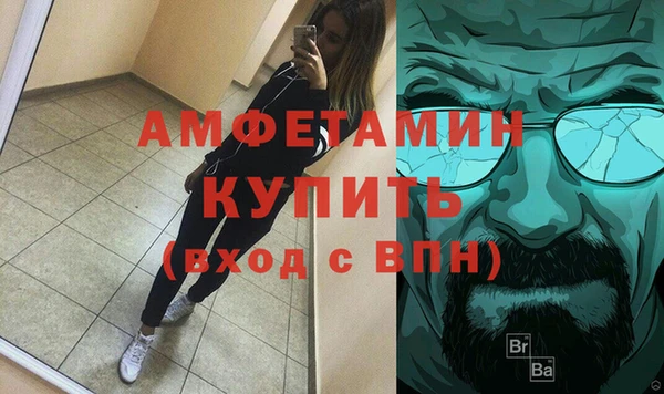 гидра Богородицк