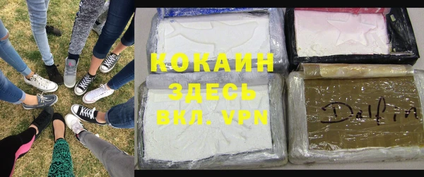 гашик Богданович