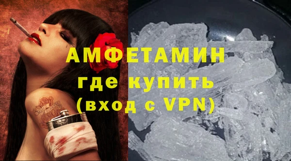 гидра Богородицк