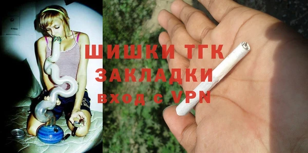 гидра Богородицк