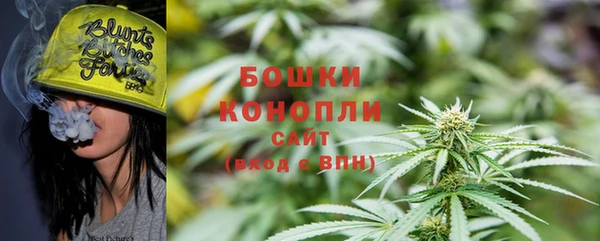 гашик Богданович