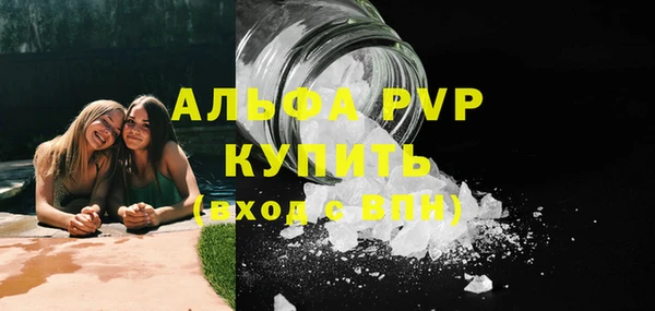 гашик Богданович