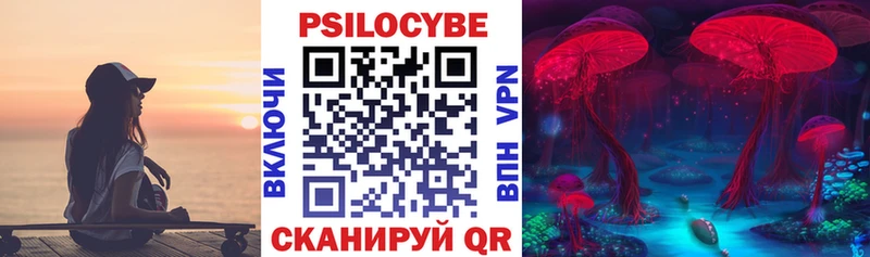 Галлюциногенные грибы Cubensis  Купить где  Сертолово 